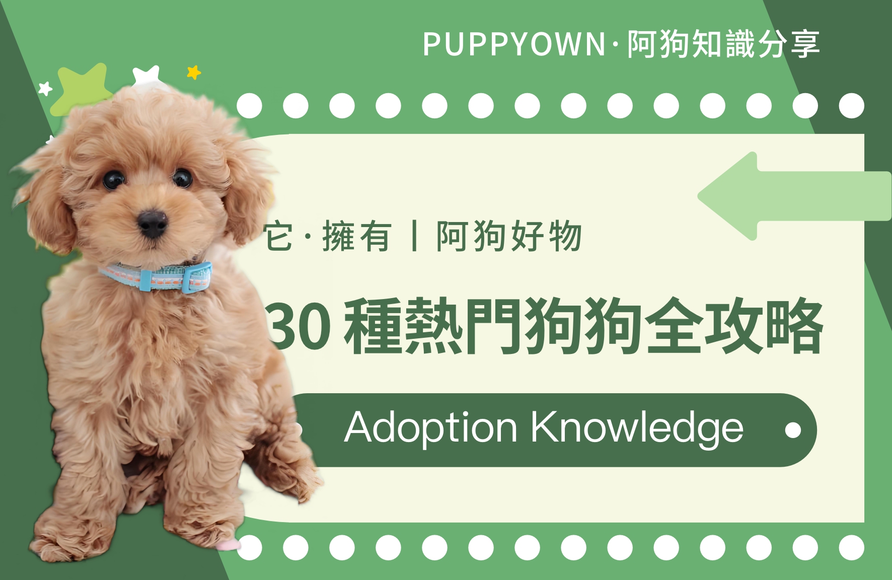 PUPPYOWN知識丨30種熱門寵物狗品種優缺點大揭秘