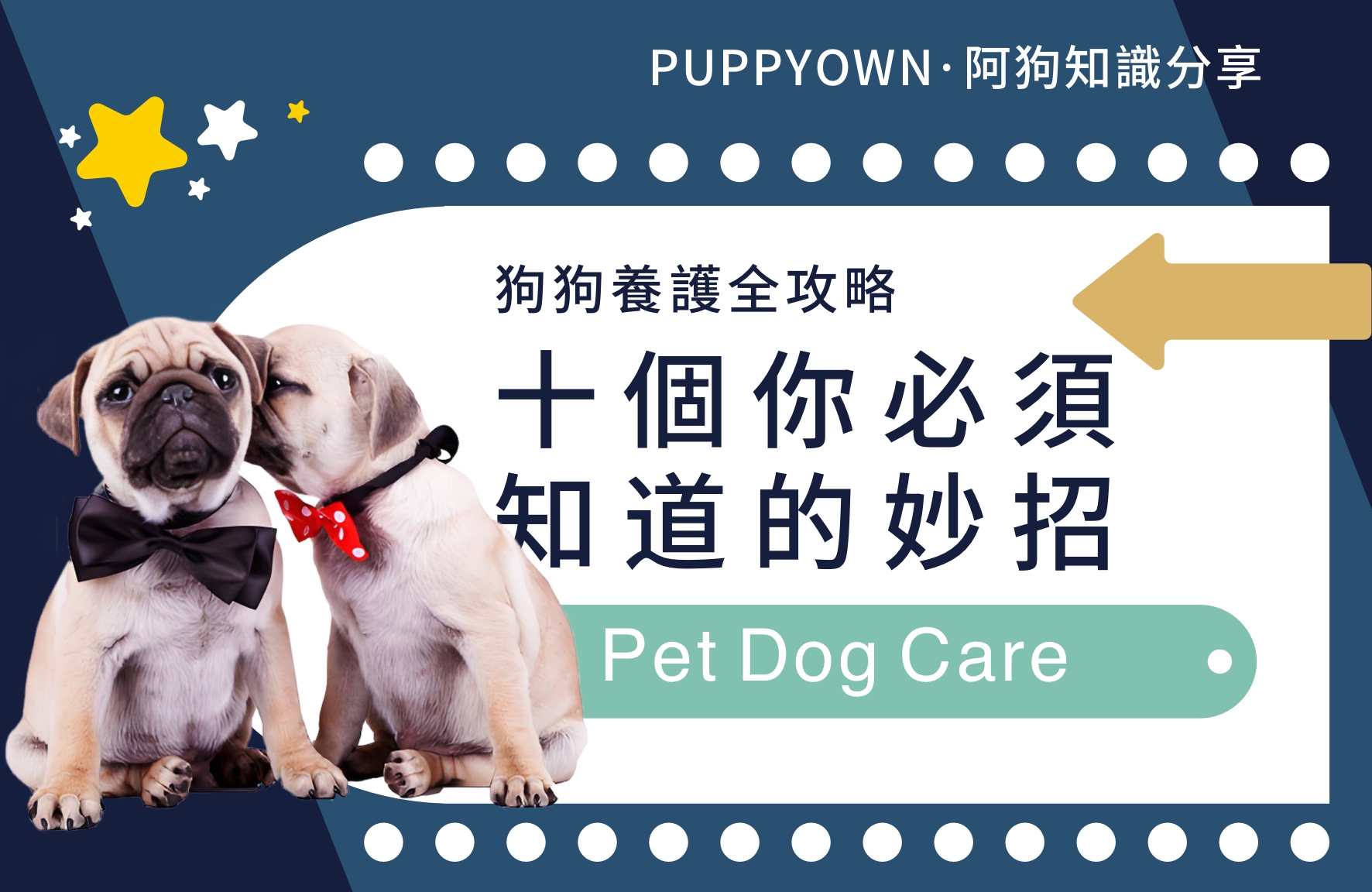 PUPPYOWN狗狗護理知識丨10個你必須知道的妙招