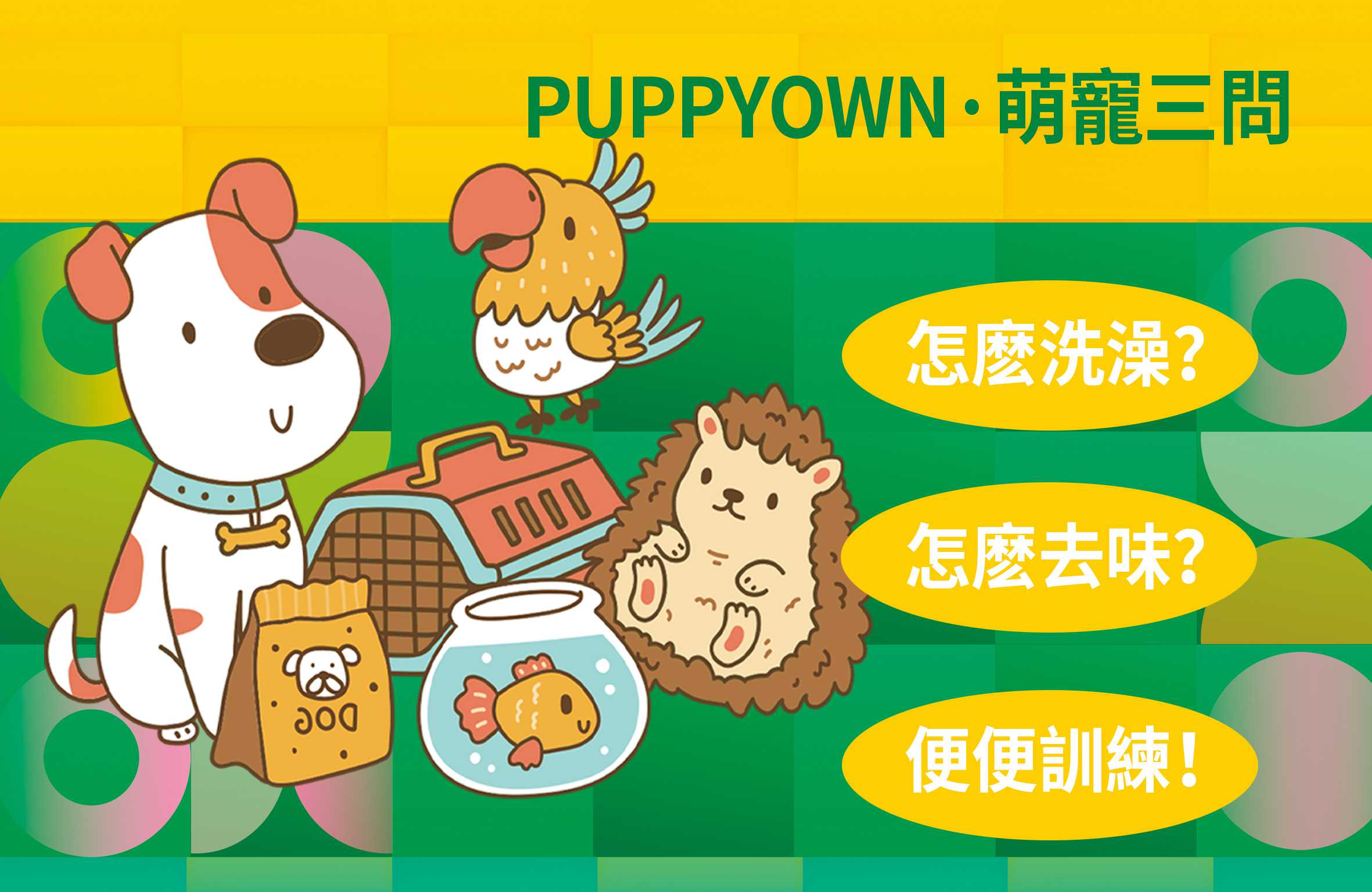 PUPPYOWN萌寵三問：狗狗洗澡？狗狗去味？狗狗中暑？