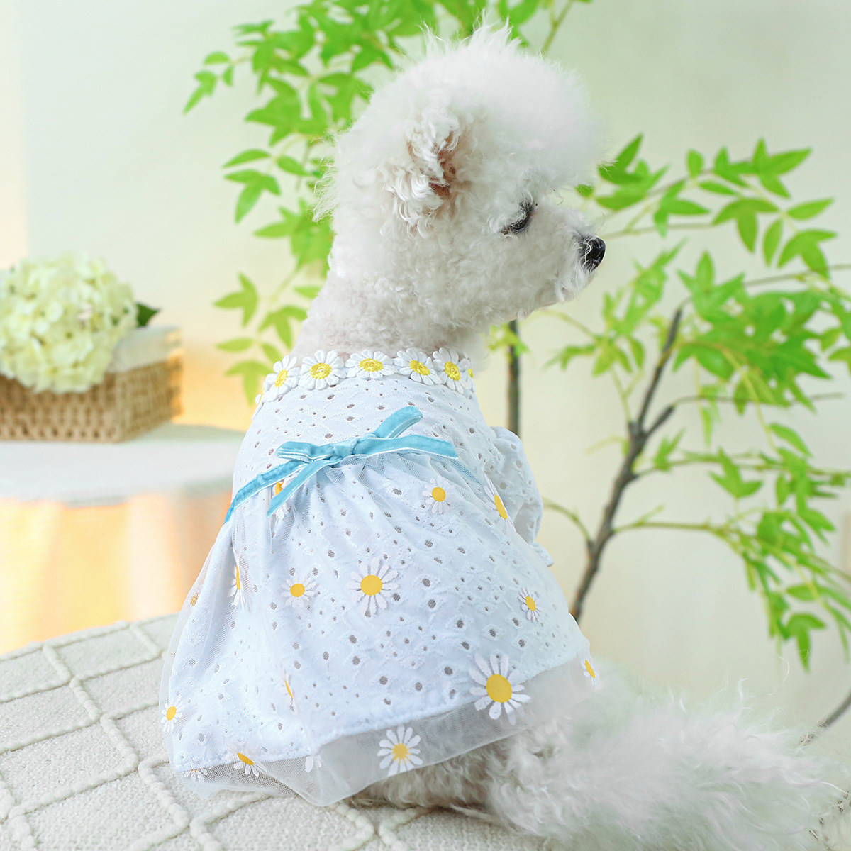 PUPPYOWN狗狗衣服春夏新品中小型犬公主休閒新黃雛菊洞洞紗裙